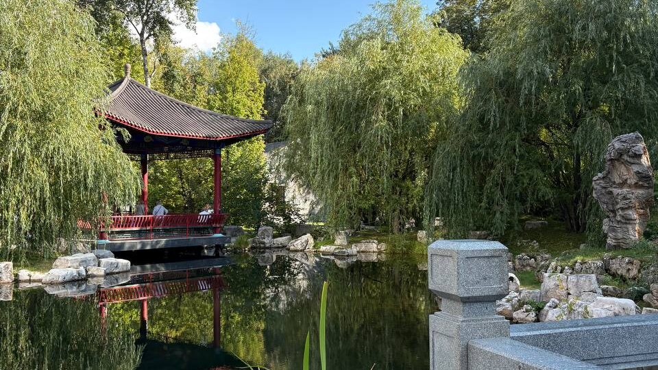 Китайский парк Хуамин в Москве. Стоит ли туда идти?