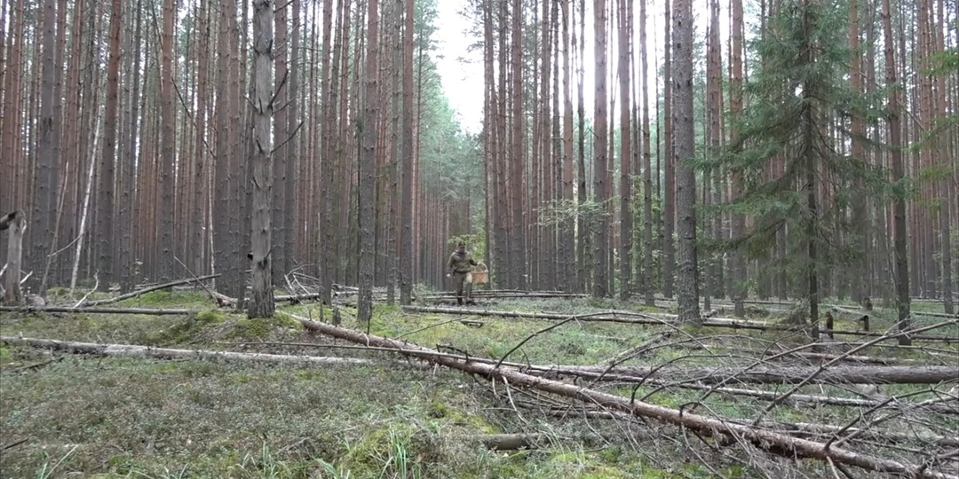 Погиб в тайге