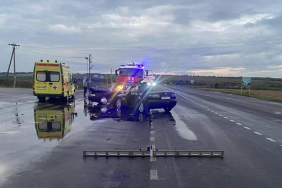    Фото: УГИБДД по Республике Мордовия, t.me/ugibdd13