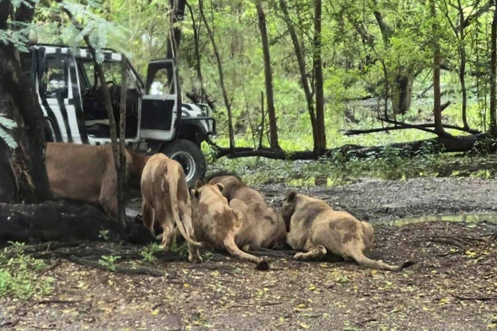 Источник https://avatars.dzeninfra.ru/get-zen_doc/271828/pub_68c2b89c08d87012011e2ef4_68c2bad3e28ffc4d0cd4d03c/scale_1200