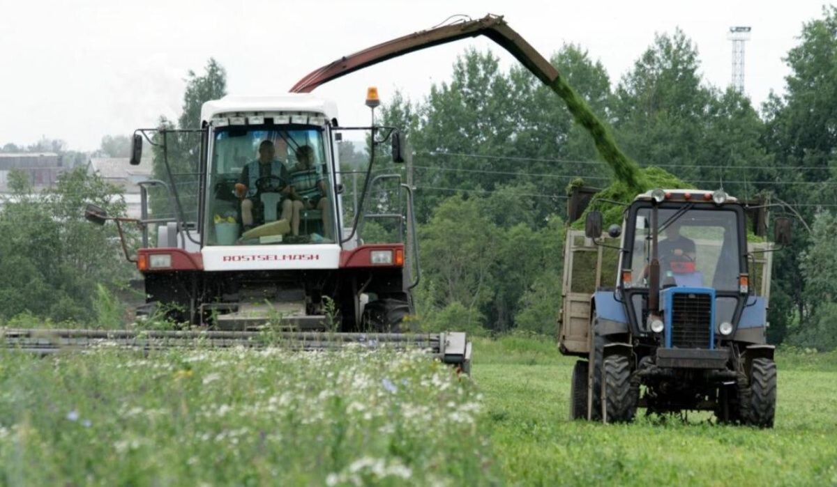     Заготовка ВТМ. Источник: dixinews.ru Автор фото: Никита Белых