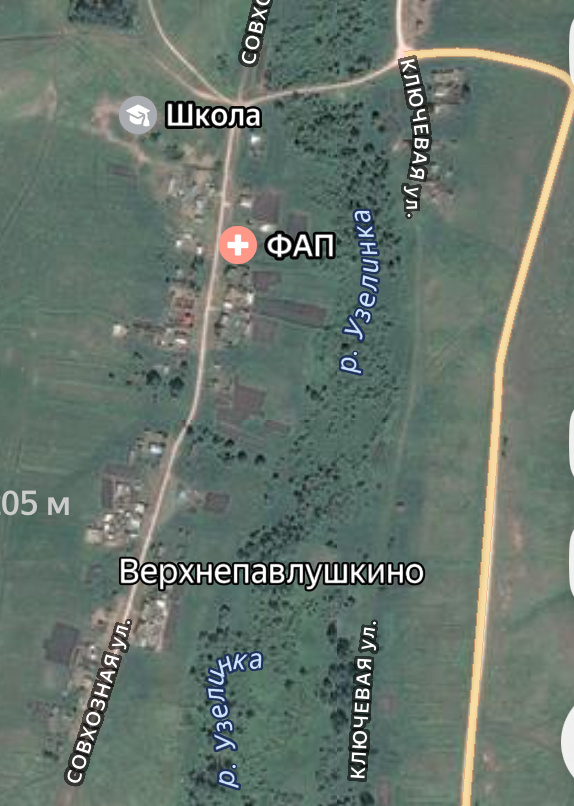 Спутниковый снимок села Верхнепавлушкиное