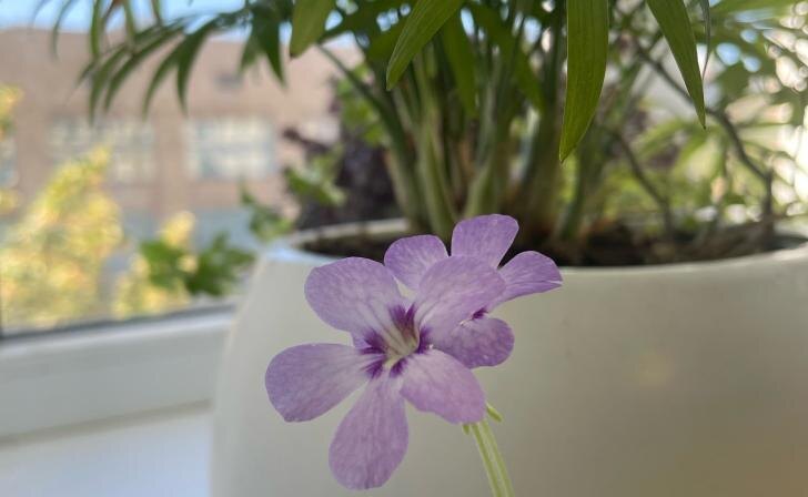    Источник фото: vk.com