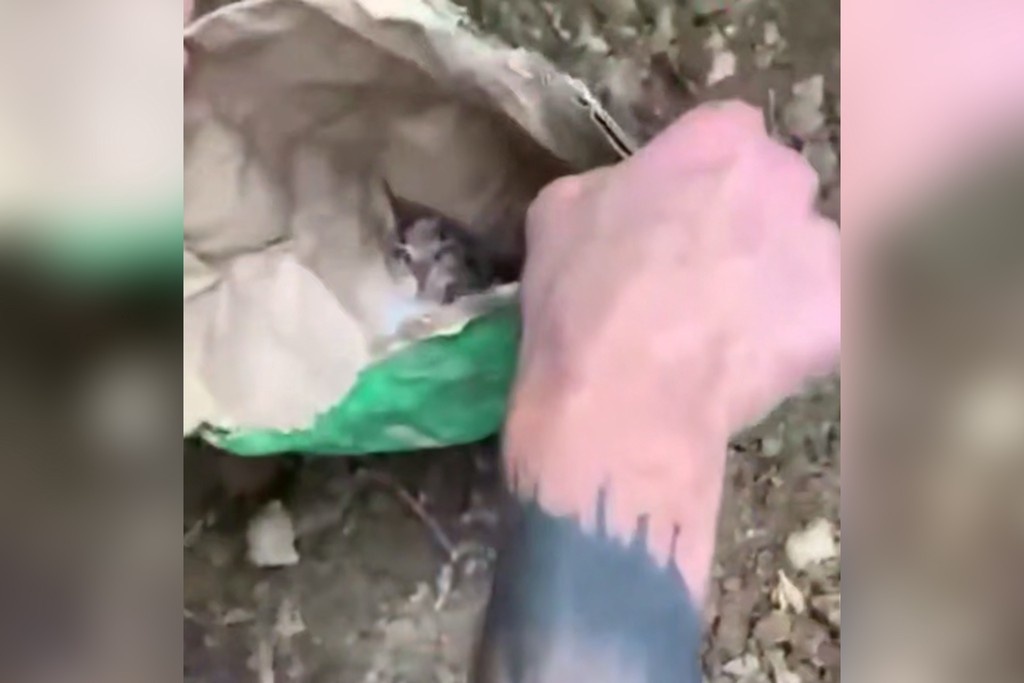    Фото © VK / «Электрон Крымск»