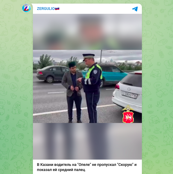    Скриншот: Telegram/ZERGULIO