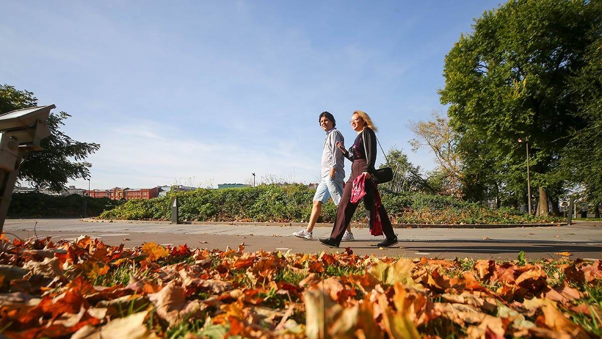    Фото: Сергей Ведяшкин / АГН Москва