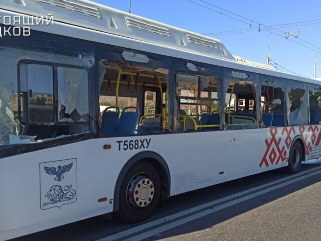    Фото: телеграм-канал "Настоящий Гладков"