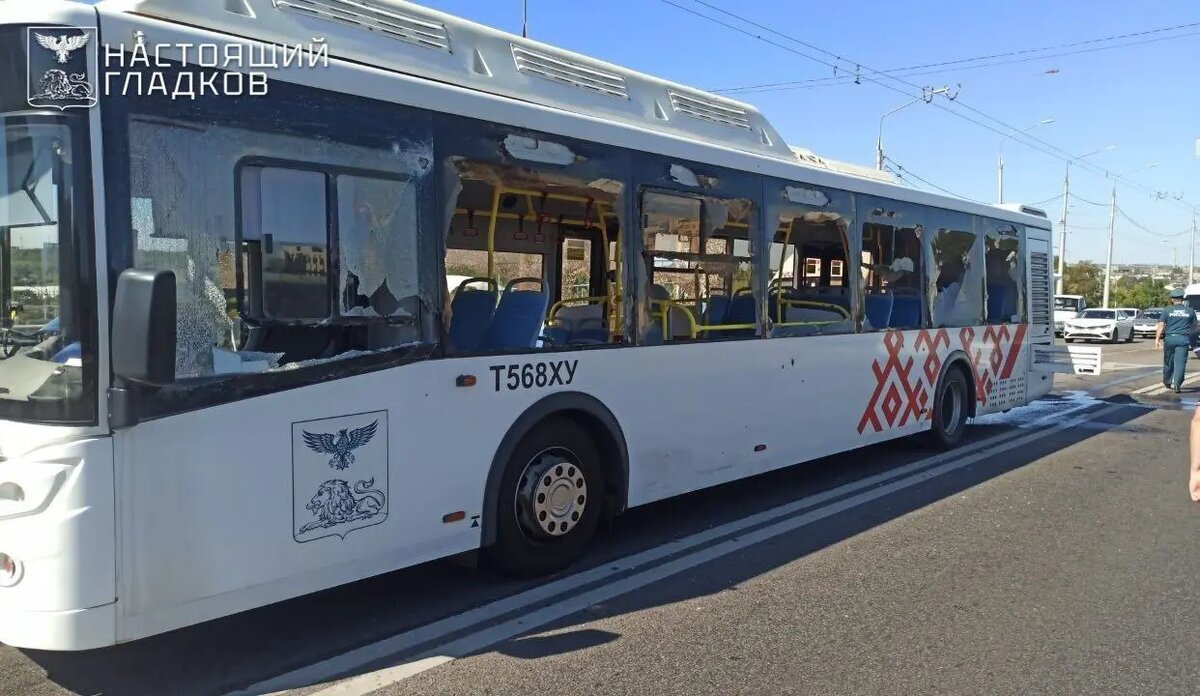    Фото: Telegram-канал Вячеслав Гладкова