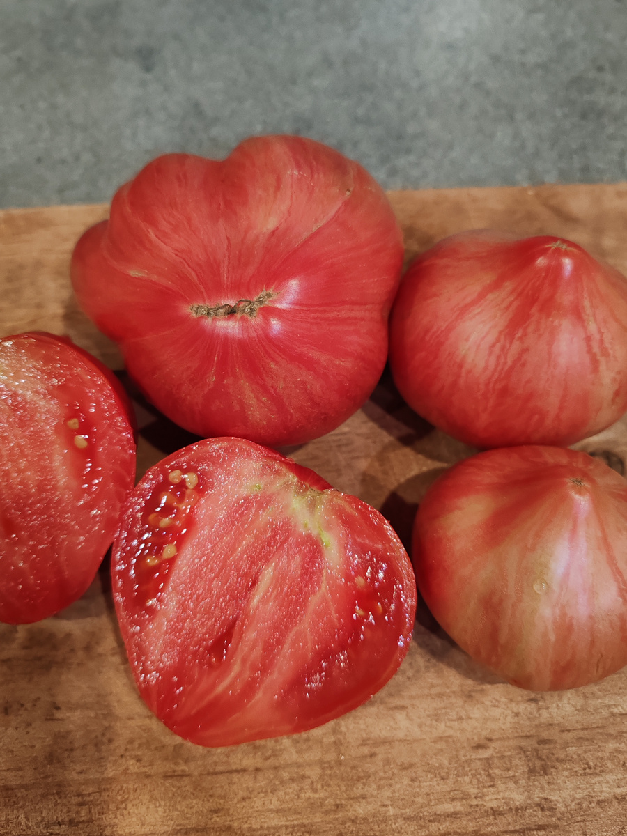 Сорт " Долговязая Салли "