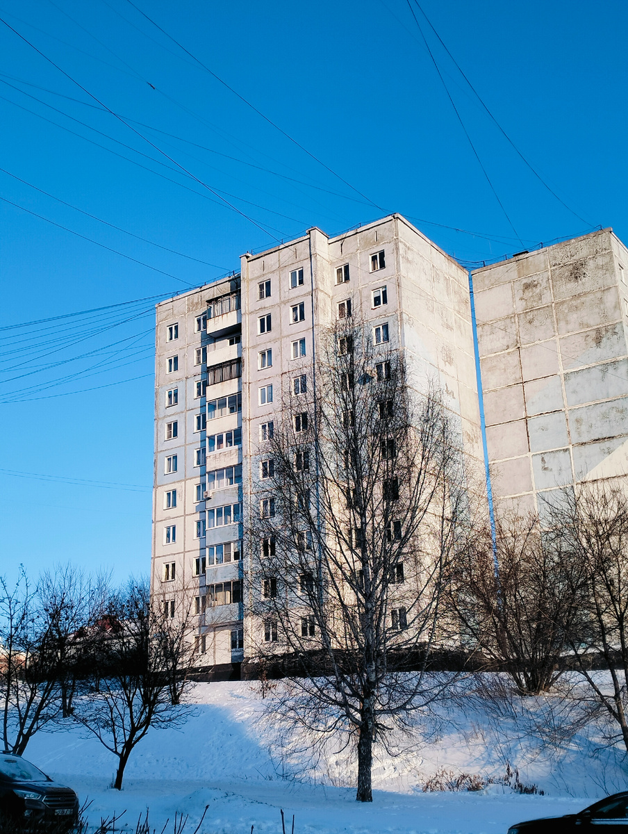 Солнечное второе января 2026 г. Дерево на фоне многоэтажки просто понравилось. А на голубое небо, при привычном для нашего шахтерского города - сером, смотреть было одно удовольствие.