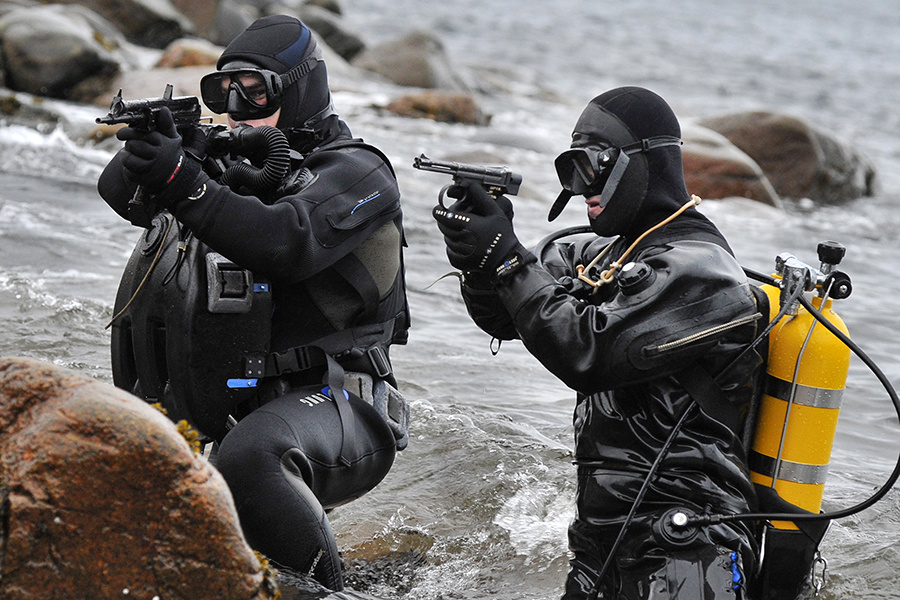    © Лев Федосеев/ТАСС