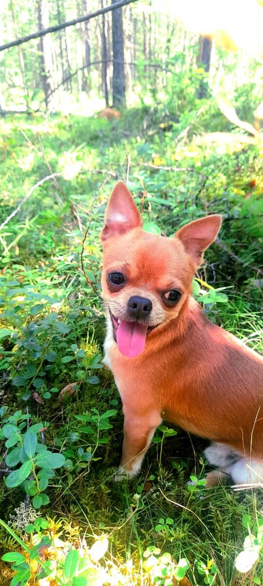 Ещё один милаш.