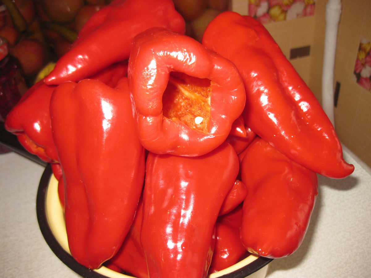 Болгарские перцы после удаления плодоножки, фото автора, сентябрь 2025 год