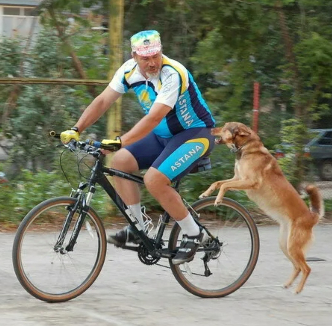 Фото из интернета