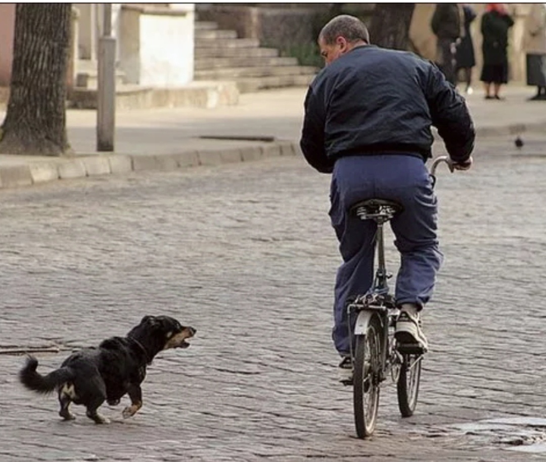 Фото из интернета