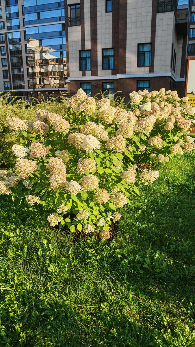 Фото автора 