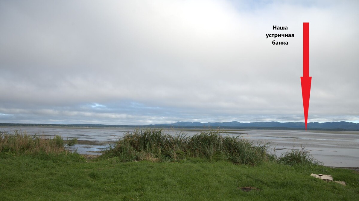 Практически за горизонтом