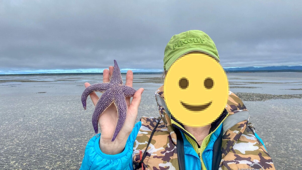 Еще более интересный объект - большая морская звезда