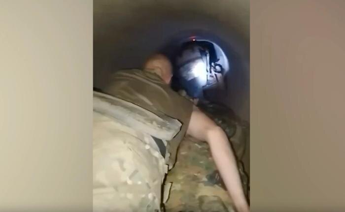 Обложка © Военкор Котенок