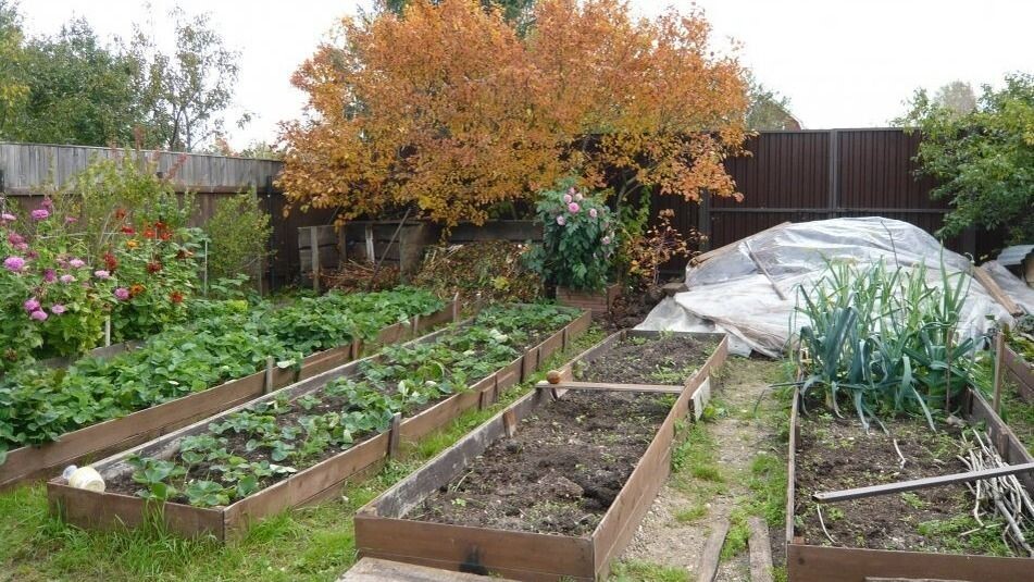 Фото использовано в качестве иллюстрации. Источник Яндекс-картинки