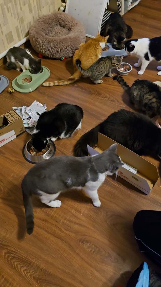 Ужин в зоогостинице 