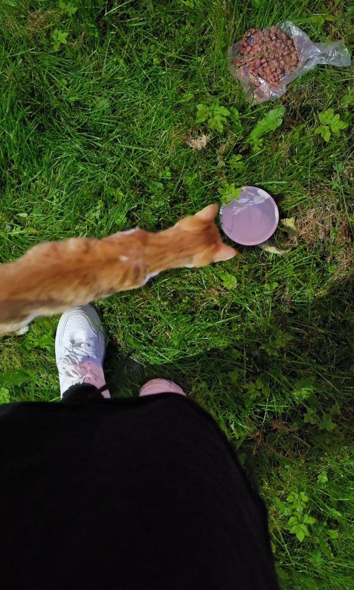 Первая встреча с Гошей 