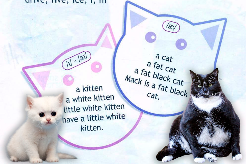 Фрагмент раздела "Чтение" в конце Спотлайт-2