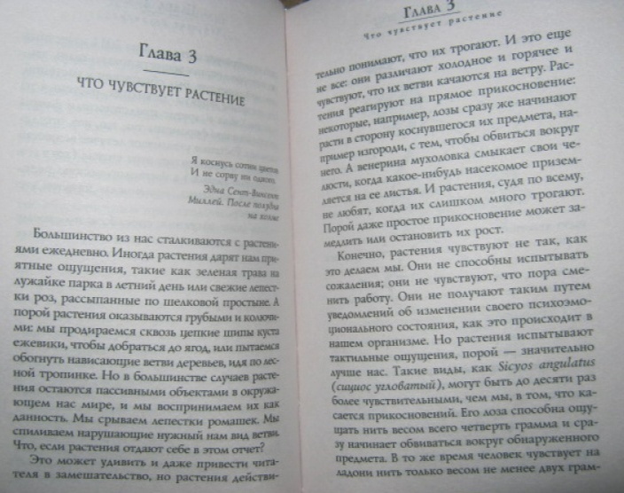 книга Дэниела Чамовица «Тайные знания растений. Что видят, слышат и помнят цветы и деревья»