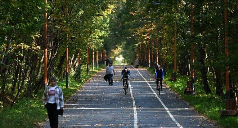    РИА «Новости»