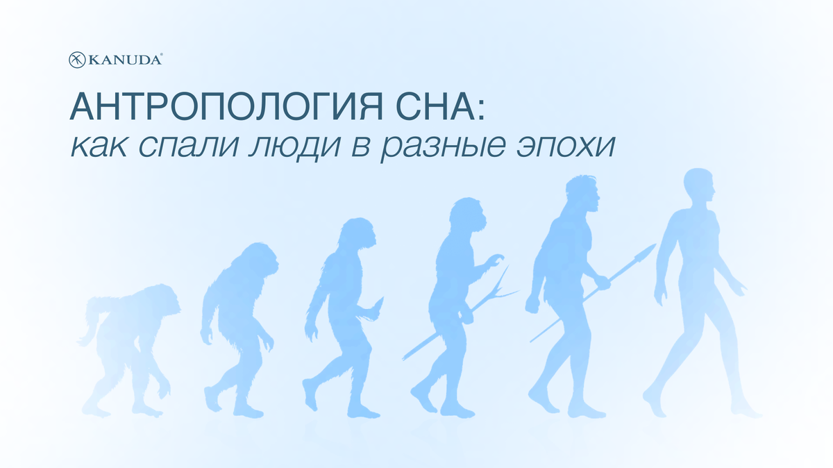 Антропология сна