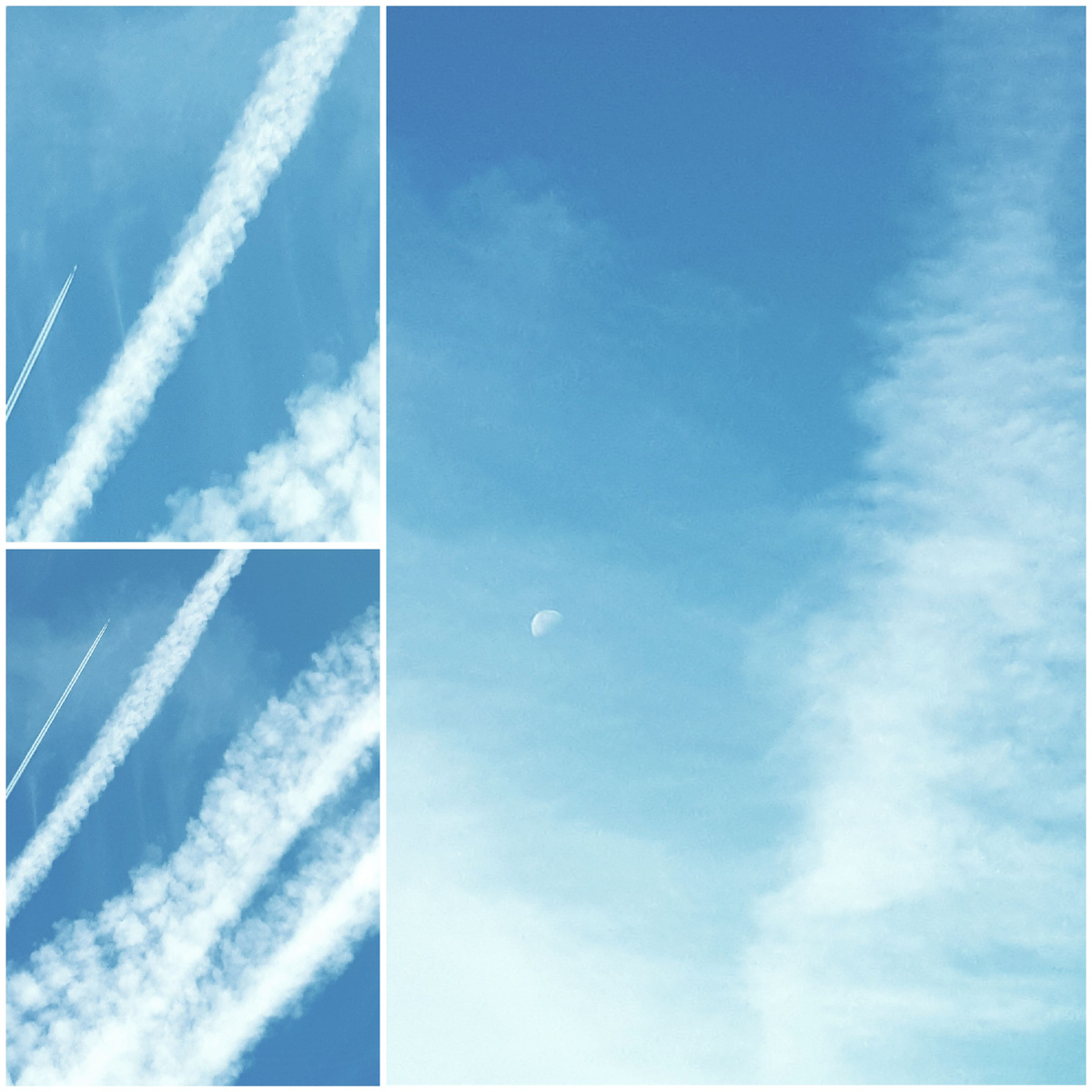 Коллаж автора 13.09.2025г.