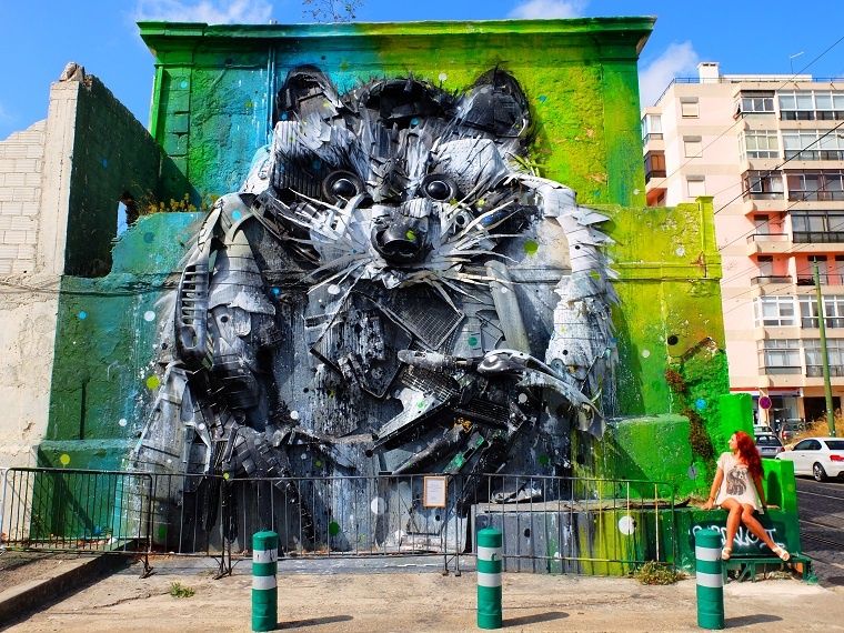 Большой енот, Лиссабон