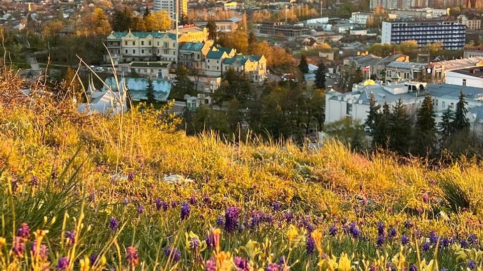 Достояние Ставропольской губернии