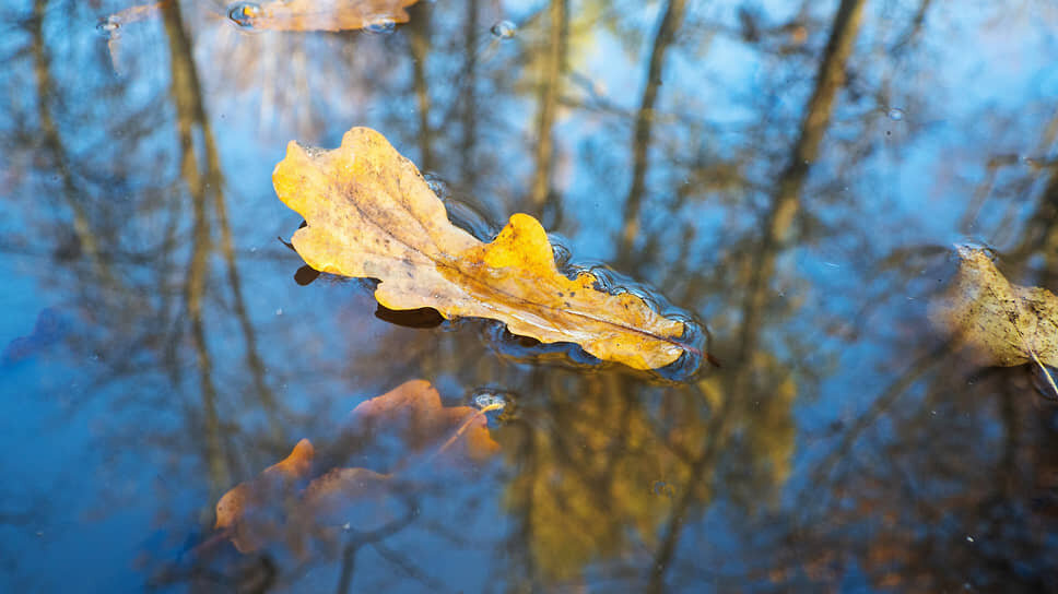 Фото: Майя Жинкина / Коммерсантъ