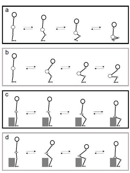    Ayaka Ogasawara et al
