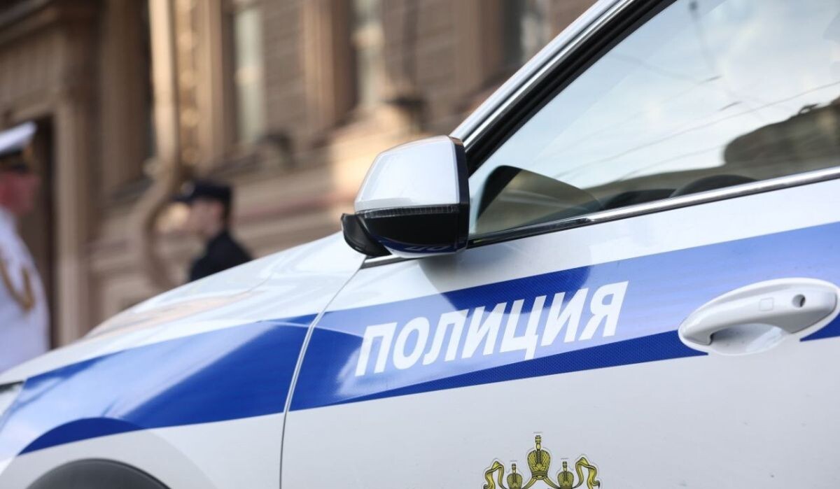     Машина полиции. Источник: vk.com/spb__police Автор фото: ГУ МВД России по г. СПб и ЛО