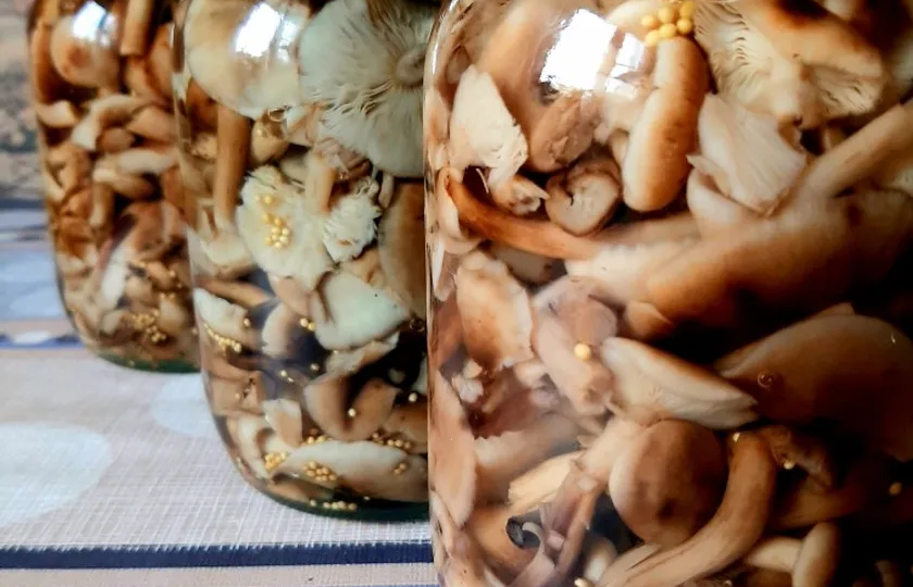 Маринованные опята. Что еще можно приготовить из опят?