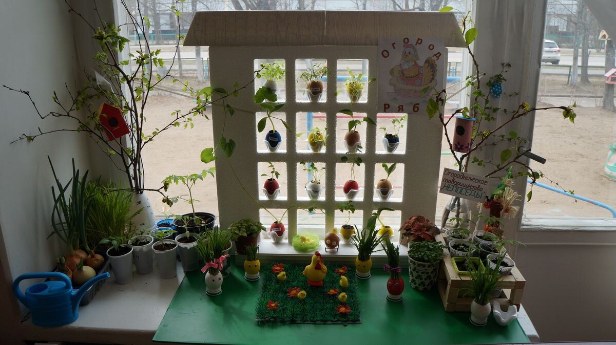 полезные грядки. Фото с Пинтерест.