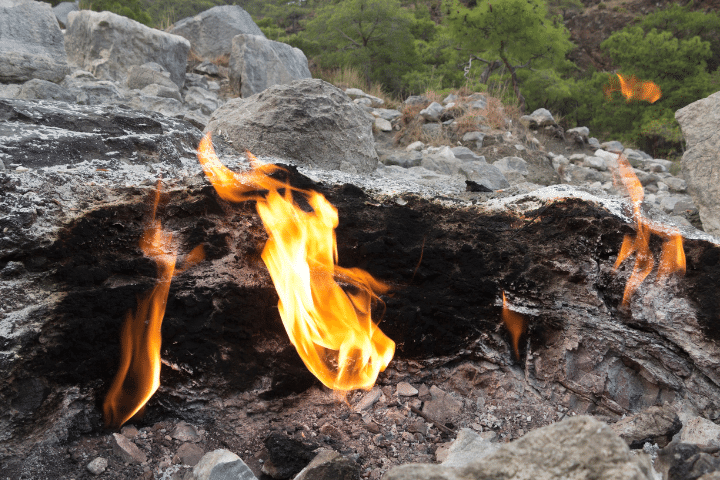 Фото из Интернета. 