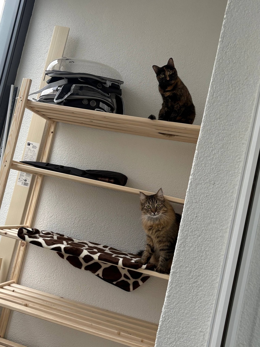 Калли  с другом