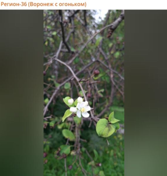    Фото: скриншот из соцсетей