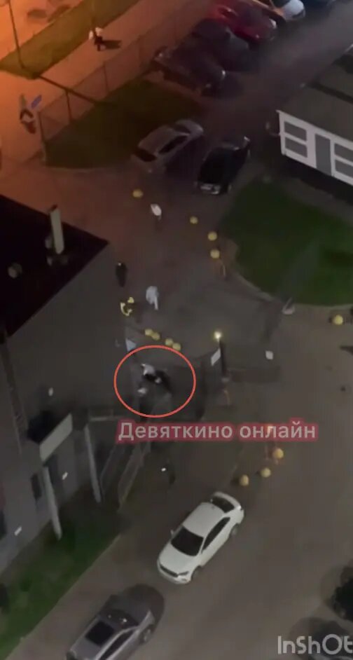    Фото: скриншот из видео в телеграм-канале «Девяткино онлайн»