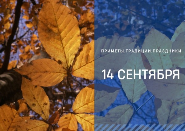 Приметы 14 сентября: что случится в Семёнов день, если мухи кусаются