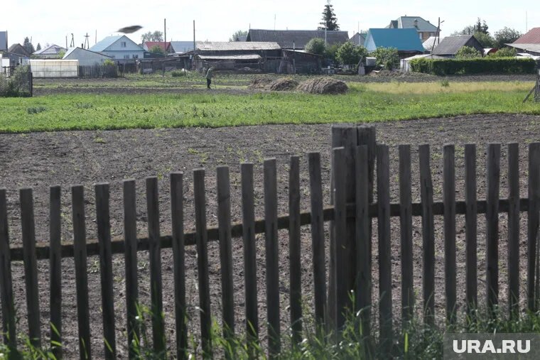 В Росреестре призывают решать проблему с делением участка мирным путем
Фото: Денис Моргунов © URA.RU