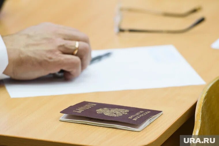 Заявление можно подать лично или через личный кабинет
Фото: Владимир Жабриков © URA.RU