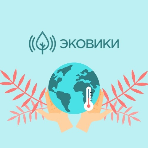 Почему «Эковики» станет кооперативом?