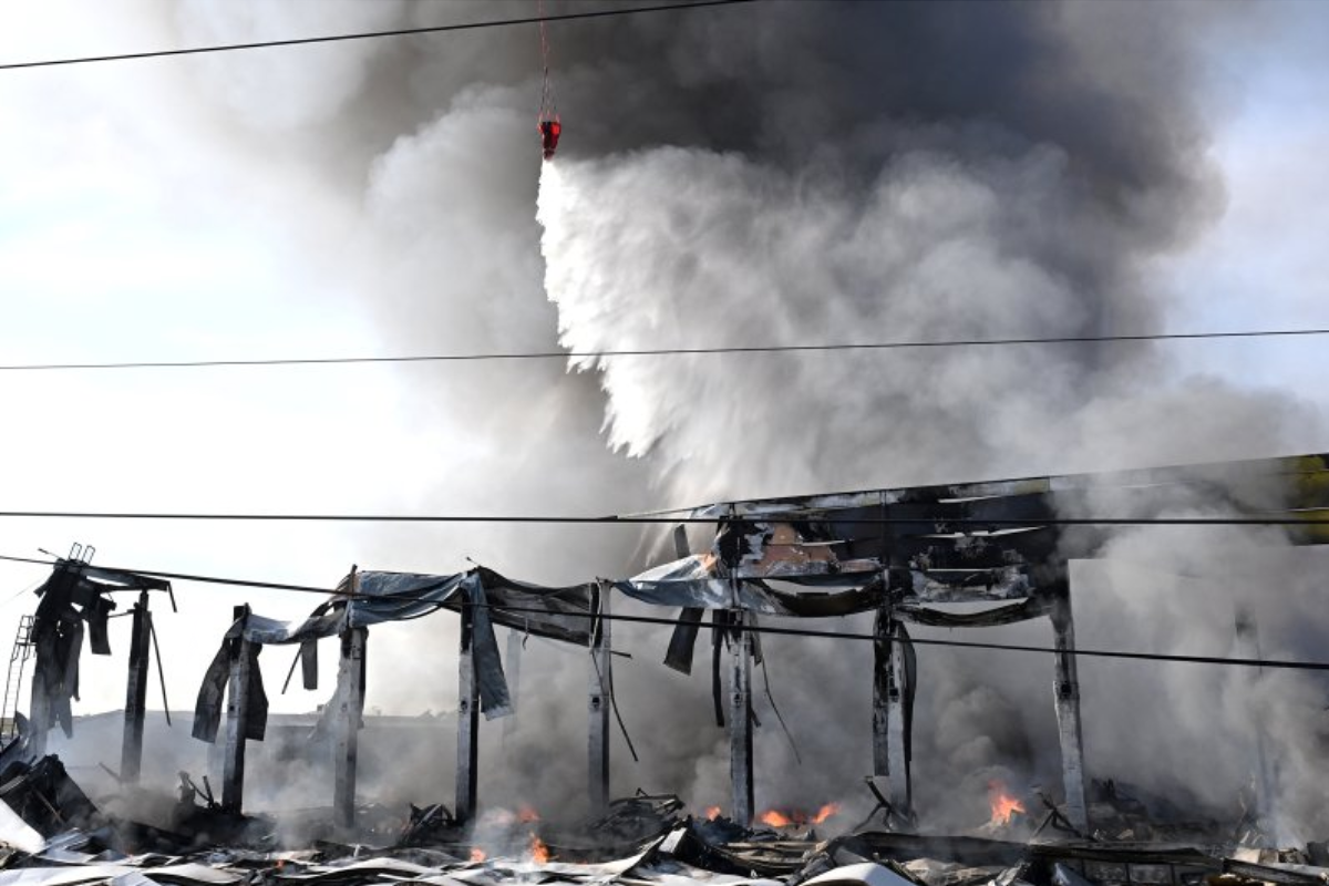    Фото: Михаил Воскресенский, источник: ria.ru