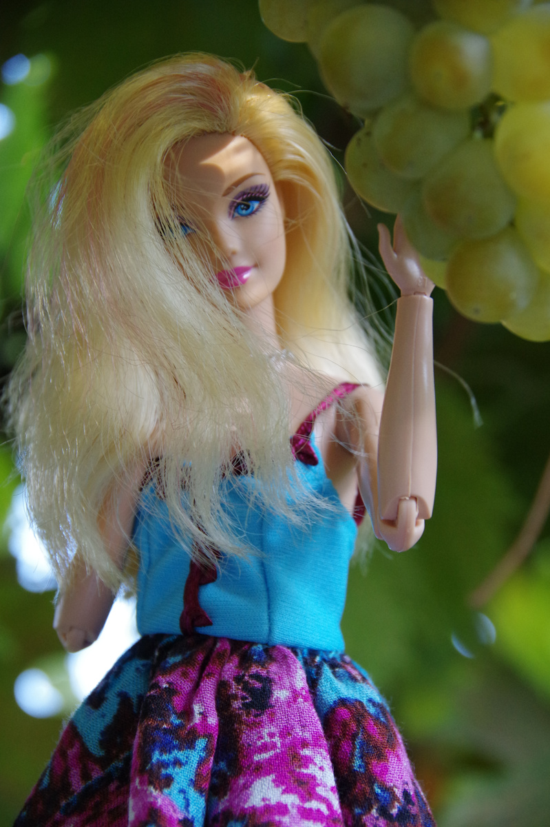 Куколка из серии Mattel Barbie Fashionistas Barbie Doll and Pet | Фото автора