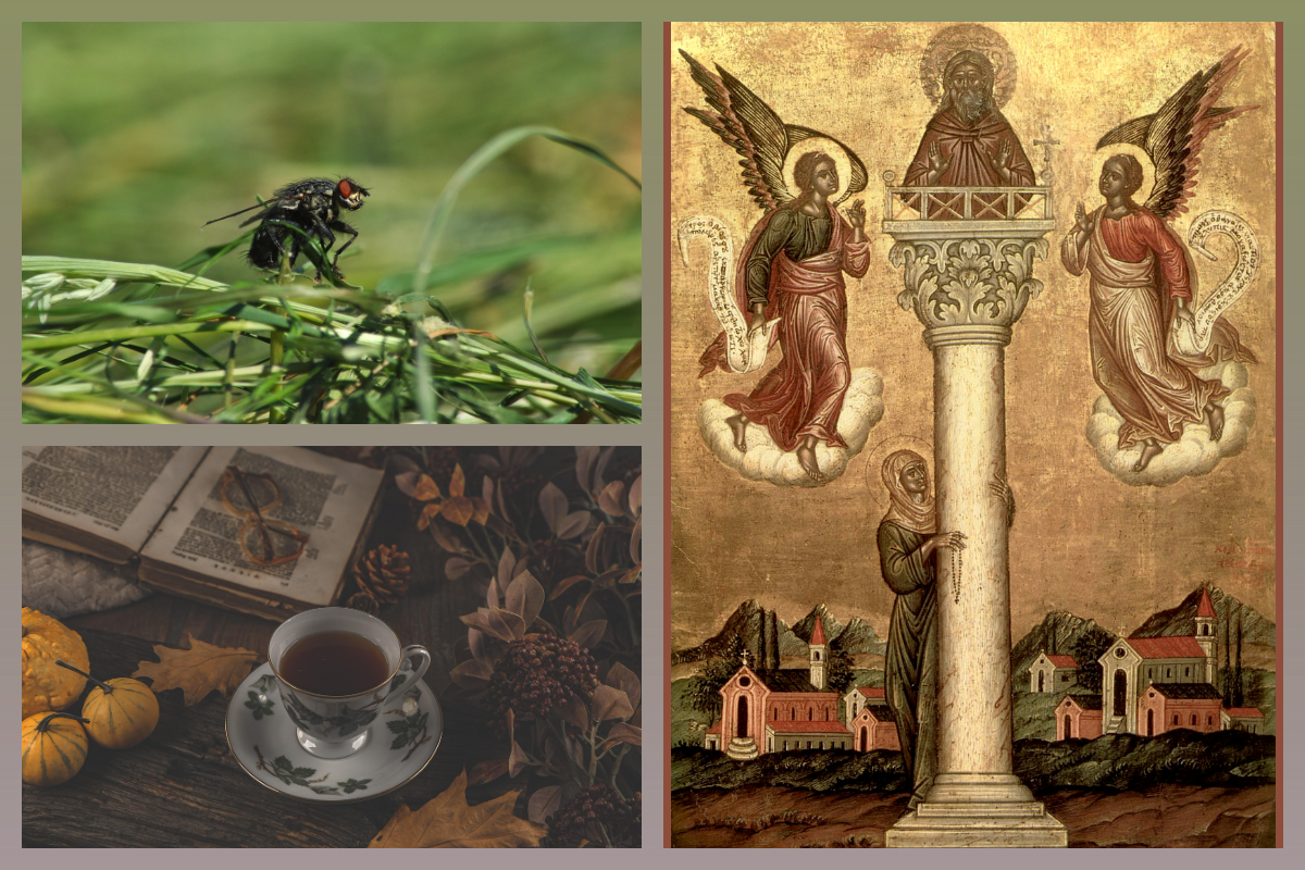 Прп. Симеон Столпник Антиохийский, Осень/pixabay.com