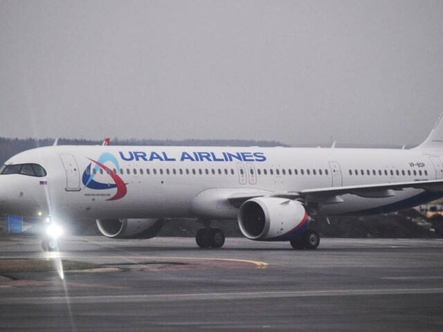    Фото: Москва 24/Антон Великжанин